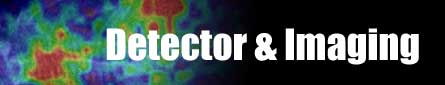 Detector Group